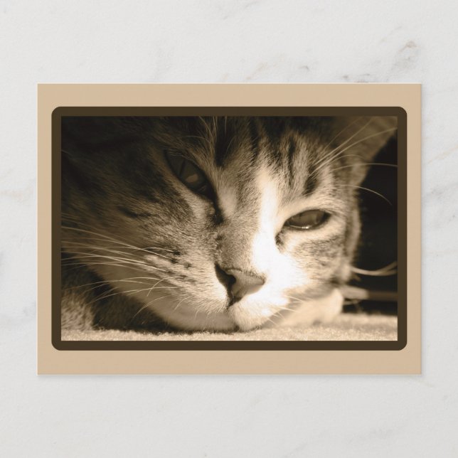 Saknar dig vykort (Framsida)