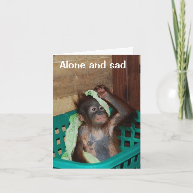 Saknar du puss och konfektion kort (Framsida)