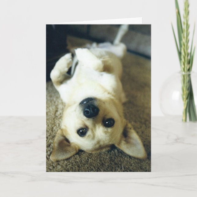 saknar gratulationskort kort (Framsida)