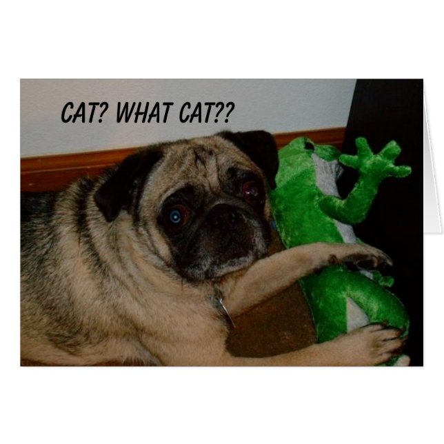 Saknat kattkort hälsningskort (Framsidan Horizontal)