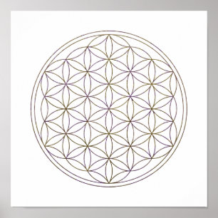 Sakral geometriblomma av liv (V-Auberginen) Poster
