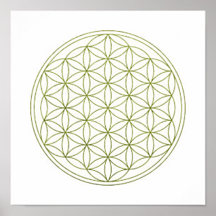 Sakral geometriblomma av liv (V-Grodden) Poster