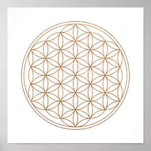 Sakral geometriblomma av liv (V-Henna) Poster