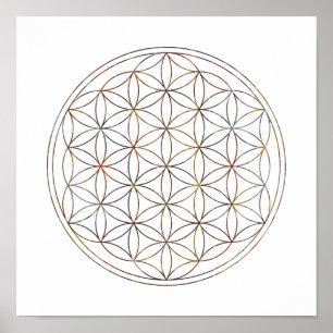 Sakral geometriblomma av liv (V-Inslag) Poster