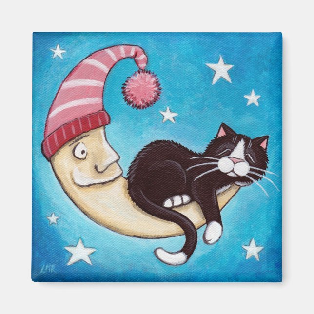 Säkrare Ställe för ett Kat Nap Magnet (Framsidan)