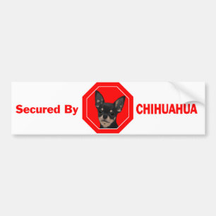 Säkrat av chihuahuaen bildekal
