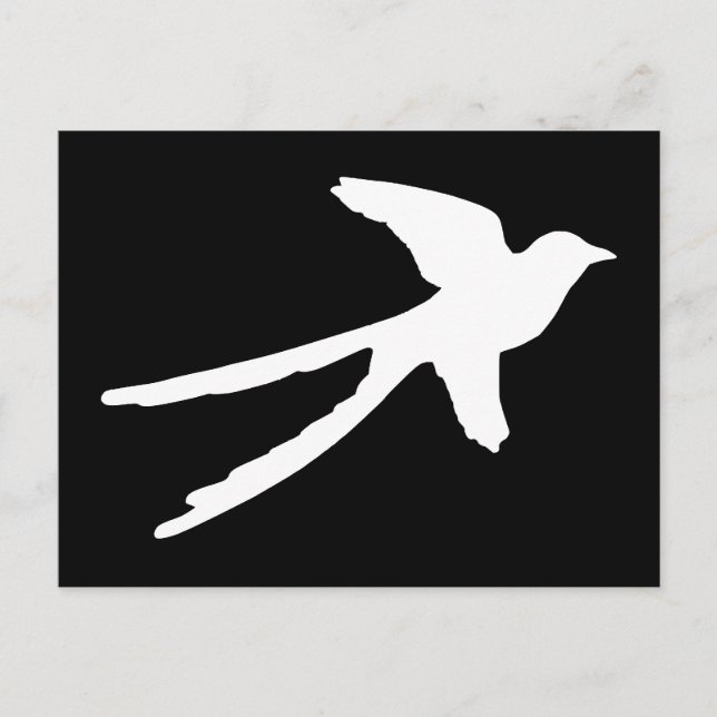 Saksnäppsflygtyrann Vykort (Framsida)