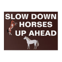 sakta ned HORSES UPP I HUAD
