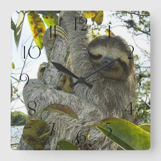 Sakta upp A Träd Fyrkantig Klocka (Framsida)