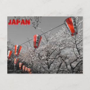 Sakura 2014 vykort