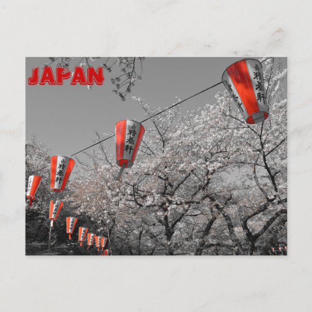 Sakura 2014 vykort (Framsida)