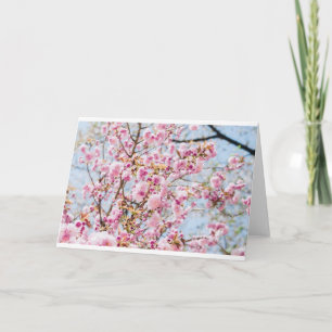 sakura asia helgkort