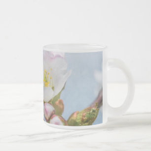 Sakura Blommar Frostad Glasmugg