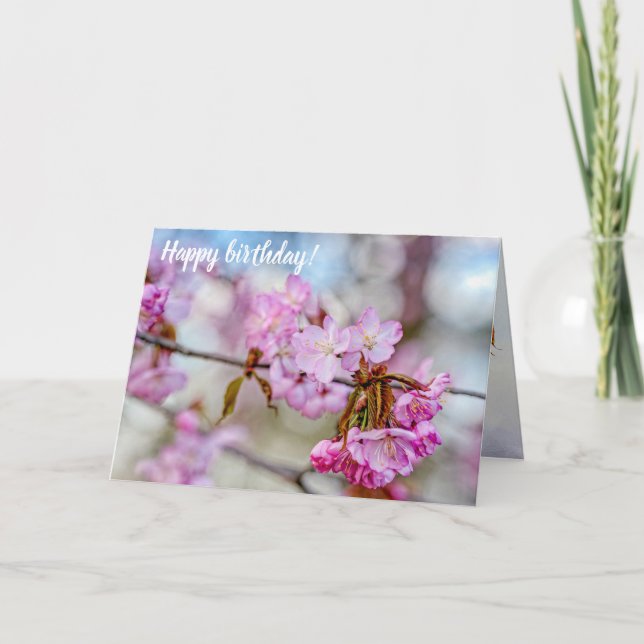 Sakura-Blommars styvhet i Springtime Kort (Framsida)