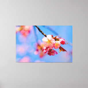 Sakura Blommor, Knoppar Och vårens blå himmel Canvastryck
