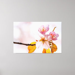 Sakura Blommor Och Mjuk Rosa Bakgrund Av Våren Canvastryck