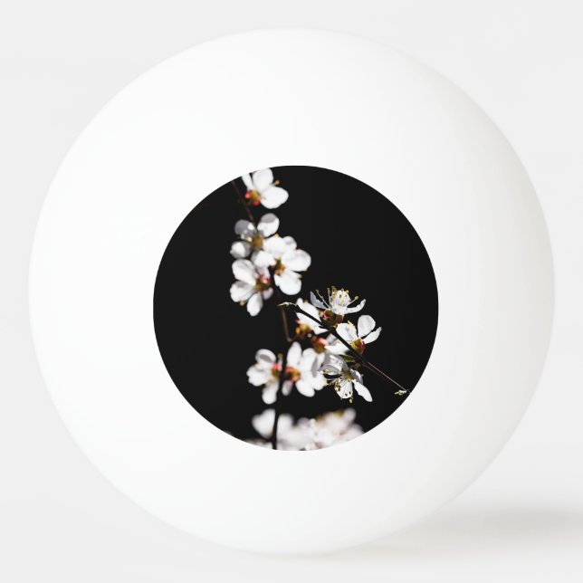 Sakura blommor pingisboll (Framsidan)