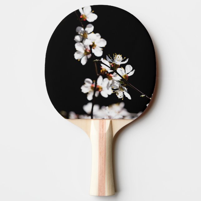 Sakura blommor pingisracket (Baksidan)