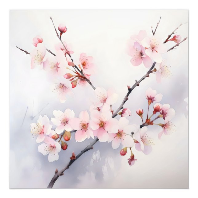 Sakura Blooming Gren Fototryck (Framsidan)