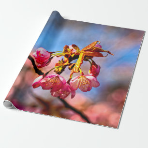 Sakura Buds är Redot att öppna och blomma Presentpapper