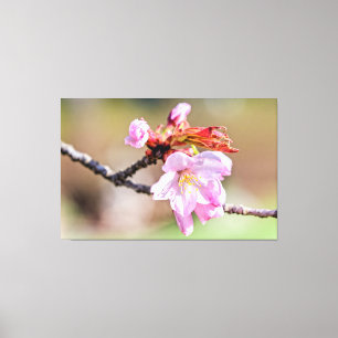 Sakura Buds och en blomma, Grönt, Beige Background Canvastryck