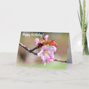 Sakura Buds och en blomma, Grönt, Beige Background Kort
