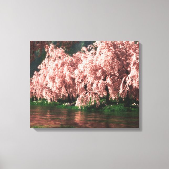 Sakura Canvastryck (Framsida)