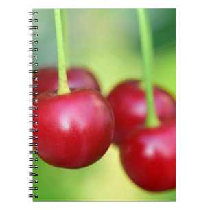 Sakura Cherries Delicious Vegan Vegetarian Fruits Anteckningsbok