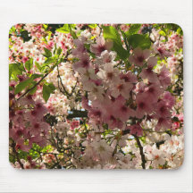 Sakura Cherry Blommar #3 Mouse Pad
