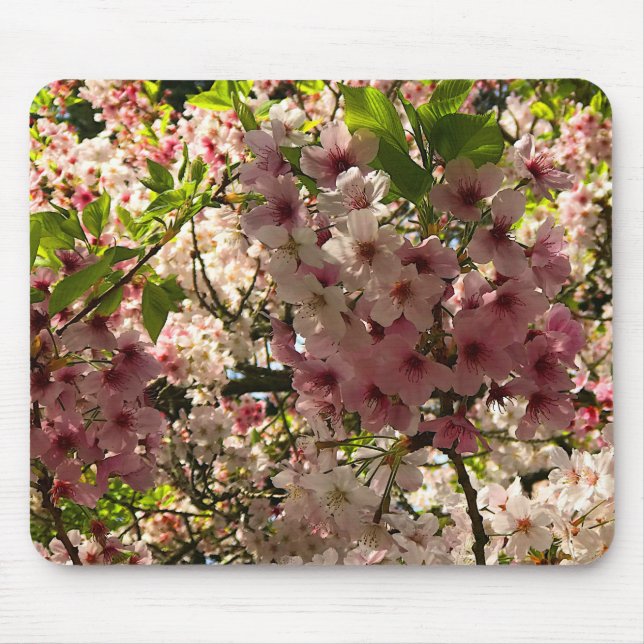 Sakura Cherry Blommar #3 Mouse Pad Musmatta (Framsidan)