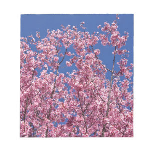 Sakura Cherry-Blommar in to Blue Anteckningsblock