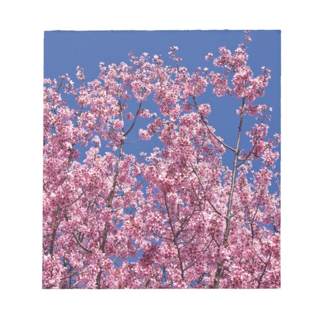 Sakura Cherry-Blommar in to Blue Anteckningsblock (Framsida)