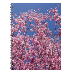 Sakura Cherry-Blommar in to Blue Anteckningsbok Med Spiral