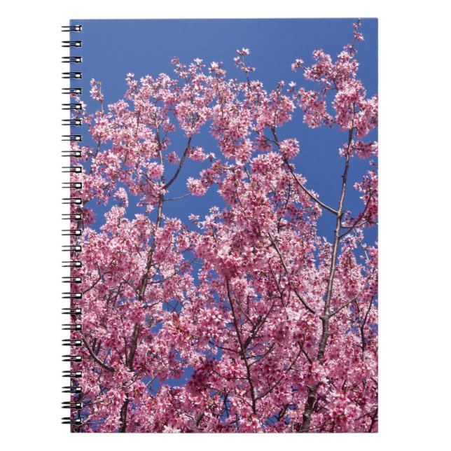 Sakura Cherry-Blommar in to Blue Anteckningsbok Med Spiral (Framsidan)