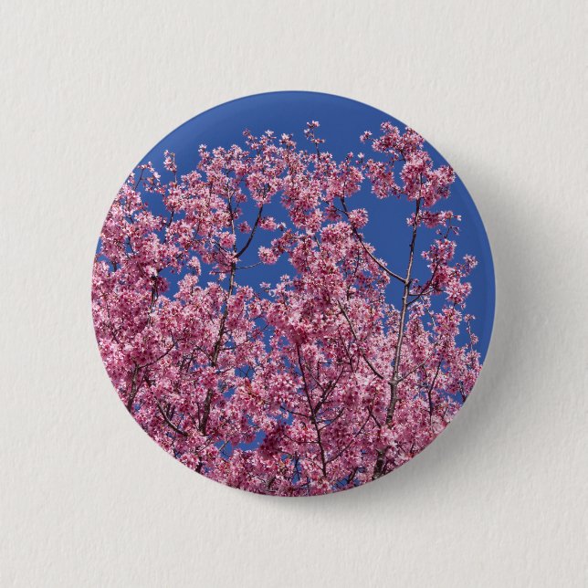 Sakura Cherry-Blommar in to Blue Knapp (Framsida)