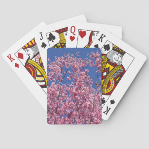 Sakura Cherry-Blommar in to Blue Spel Kort