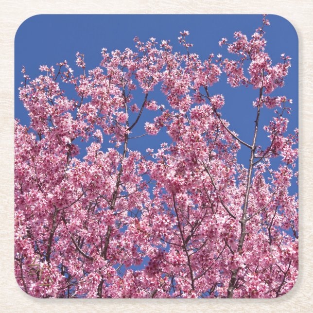 Sakura Cherry-Blommar in to Blue Underlägg Papper Kvadrat (Framsidan)