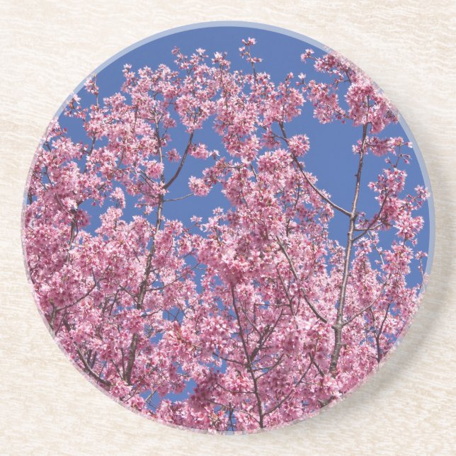 Sakura Cherry-Blommar in to Blue Underlägg Sandsten (Framsidan)