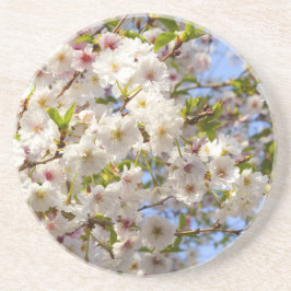 Sakura Cherry Blommar Japan Kyoto Underlägg Sandsten