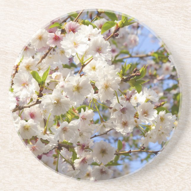 Sakura Cherry Blommar Japan Kyoto Underlägg Sandsten (Framsidan)