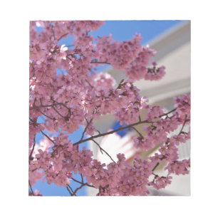 Sakura Cherry Blommars Americana Anteckningsblock