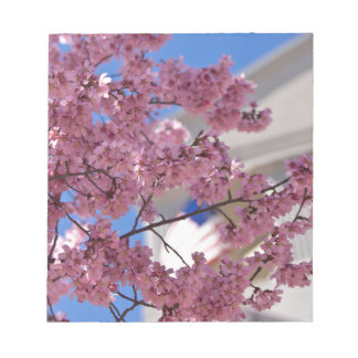 Sakura Cherry Blommars Americana Anteckningsblock