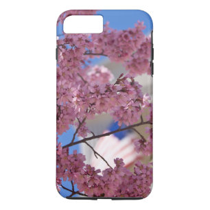 Sakura Cherry Blommars Americana