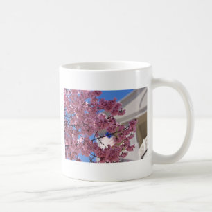 Sakura Cherry Blommars Americana Kaffemugg