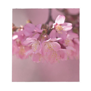 Sakura Cherry Blommars Delikat Rosa Bouquet Anteckningsblock