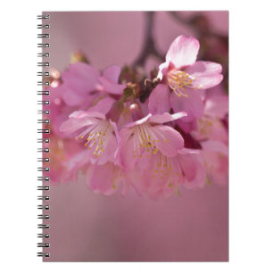 Sakura Cherry Blommars Delikat Rosa Bouquet Anteckningsbok Med Spiral