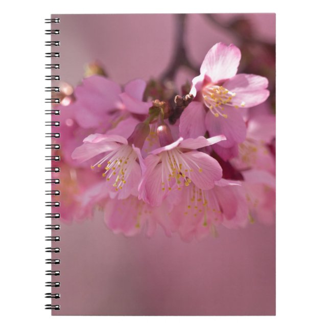 Sakura Cherry Blommars Delikat Rosa Bouquet Anteckningsbok Med Spiral (Framsidan)