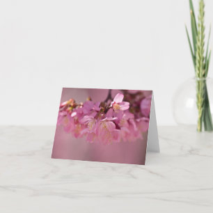 Sakura Cherry Blommars Delikat Rosa Bouquet Kort