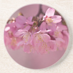 Sakura Cherry Blommars Delikat Rosa Bouquet Underlägg Sandsten