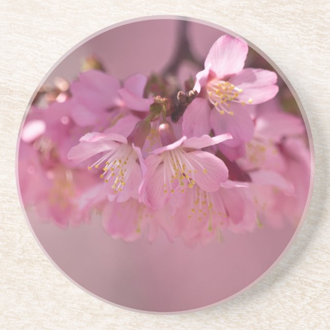 Sakura Cherry Blommars Delikat Rosa Bouquet Underlägg Sandsten (Framsidan)
